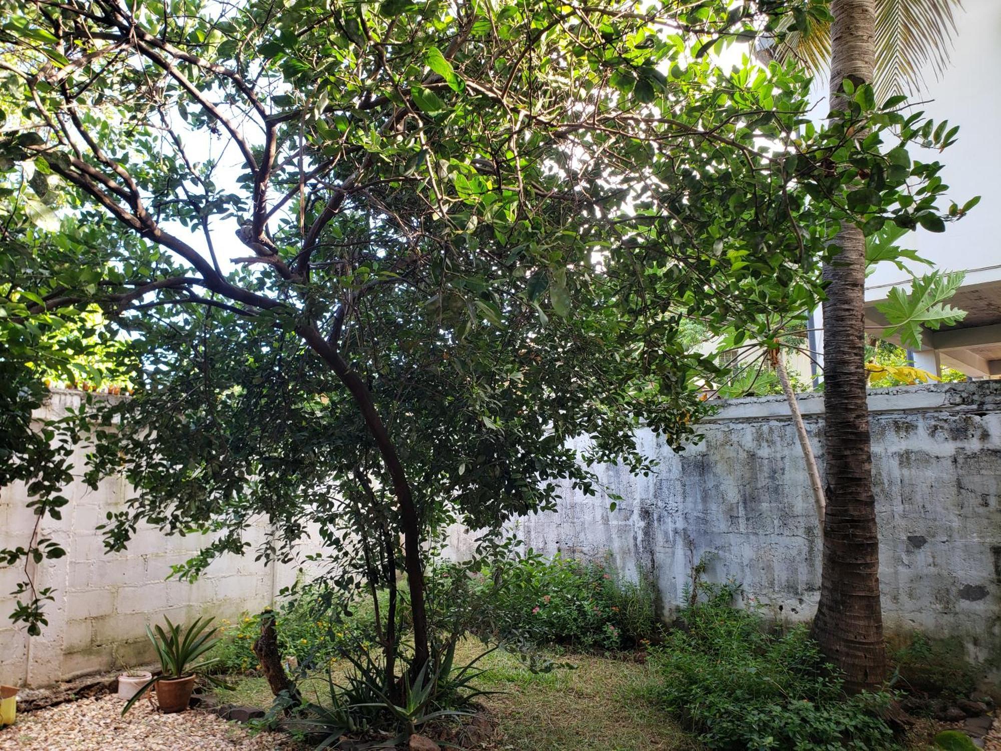 Hotel Le Petit Paradis Antsiranana ภายนอก รูปภาพ
